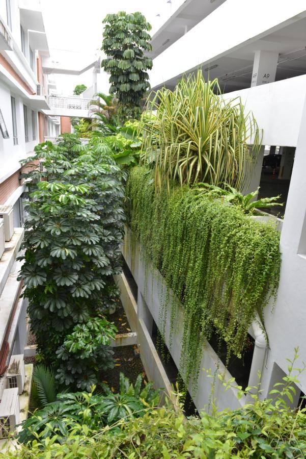 My Daily Homestay - Miri Times Square Eksteriør bilde